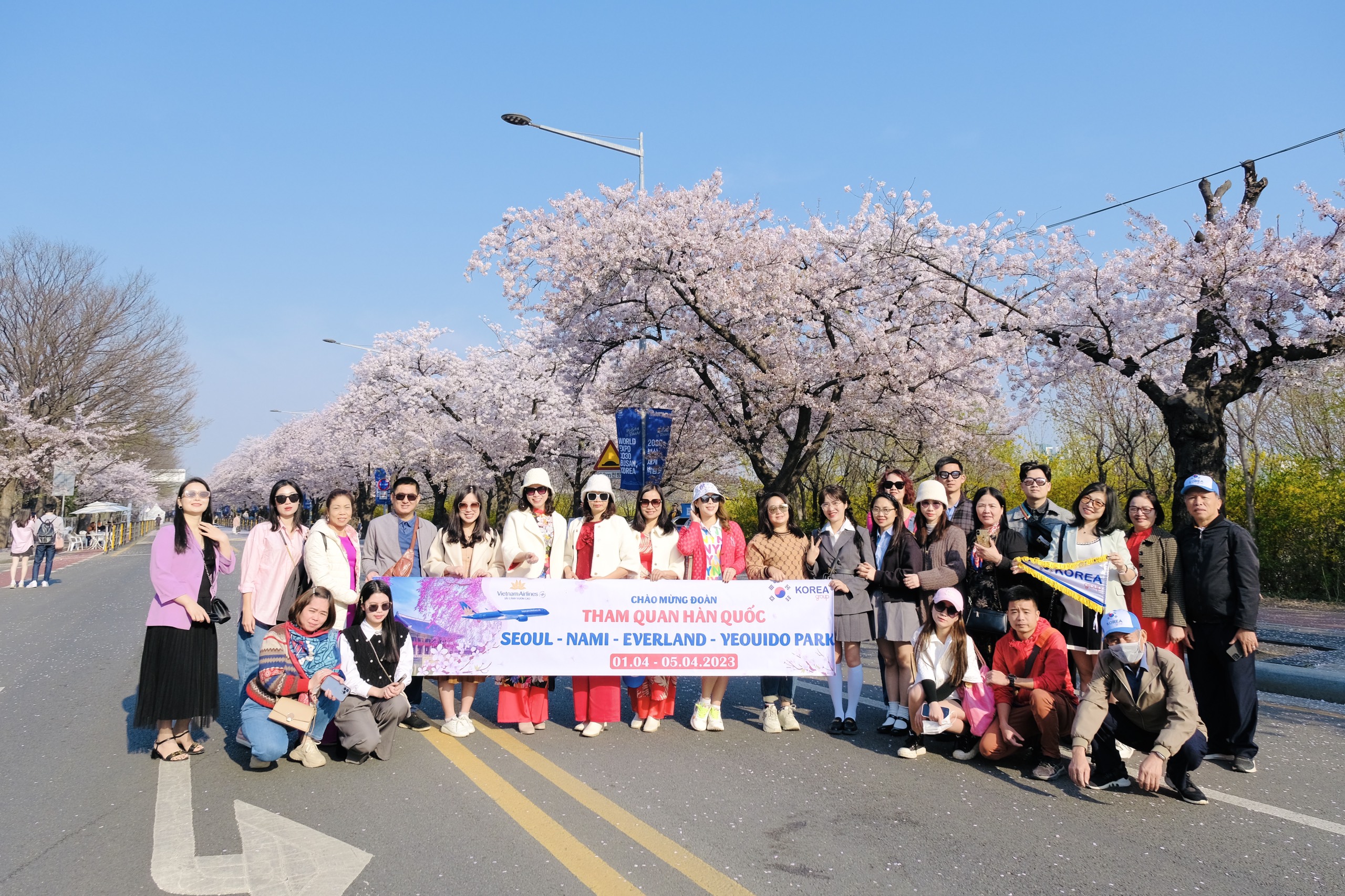 Tour Hàn Quốc mùa anh đào